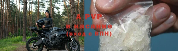 стаф Аркадак