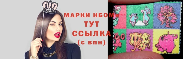 стаф Аркадак