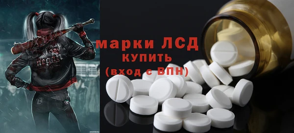 стаф Аркадак