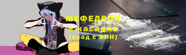 стаф Аркадак