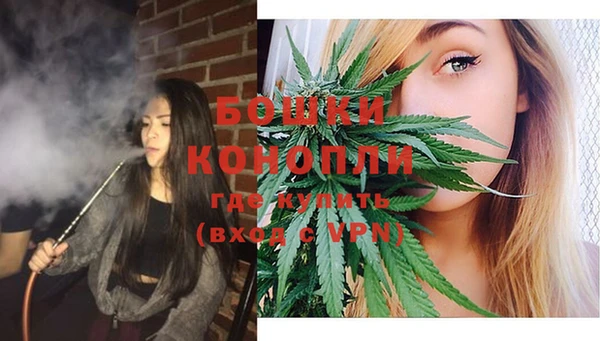 стаф Аркадак