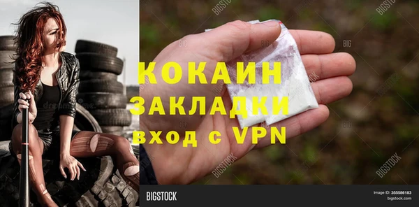 стаф Аркадак