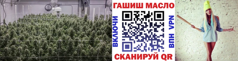 как найти наркотики  Гагарин  OMG зеркало  Дистиллят ТГК жижа 