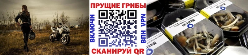 как найти наркотики  Гагарин  Галлюциногенные грибы прущие грибы 