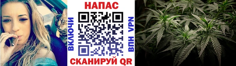 Бошки Шишки конопля  Гагарин 